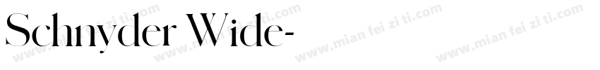 Schnyder Wide字体转换